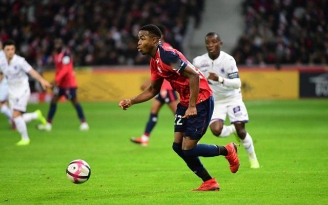 任何涉及关 任何涉及关